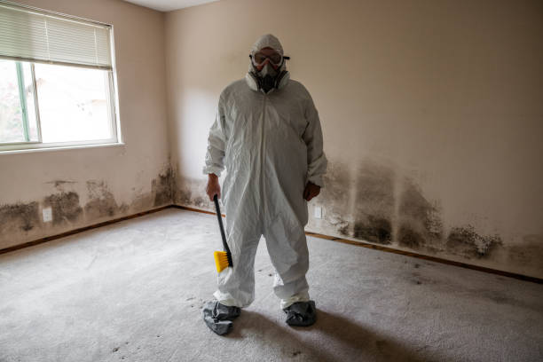 Mold Remediation for Vacation Homes in Lakeview, OR